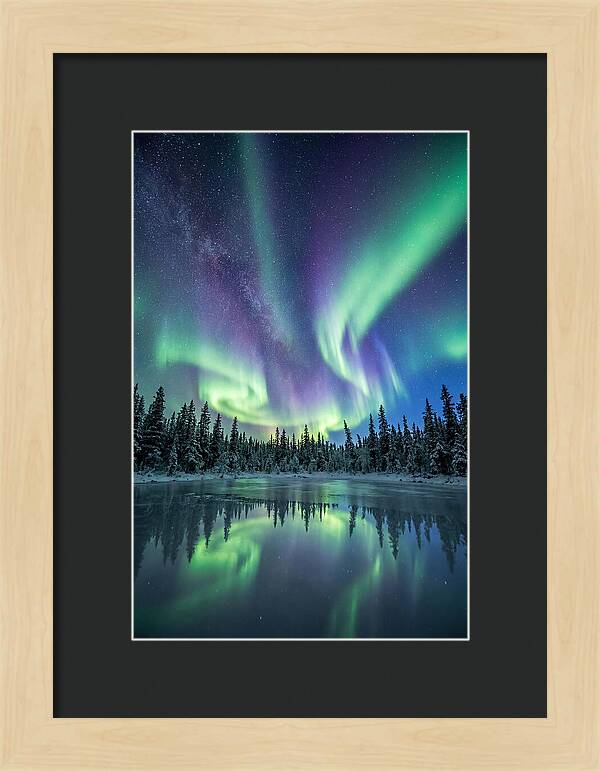 Aurora Borealis Over Alaskan Taiga