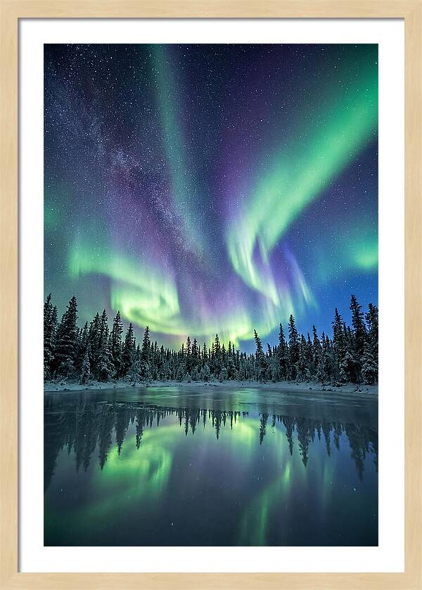 Aurora Borealis Over Alaskan Taiga
