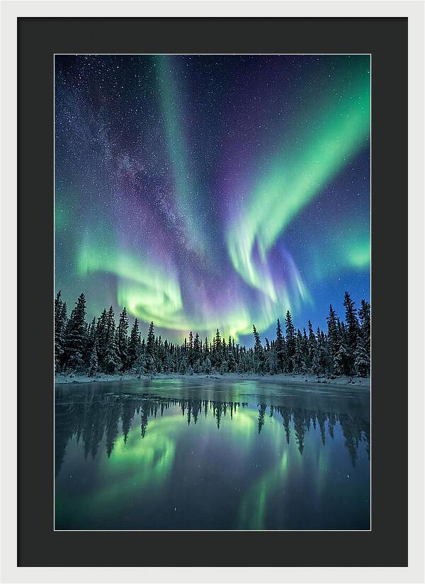 Aurora Borealis Over Alaskan Taiga