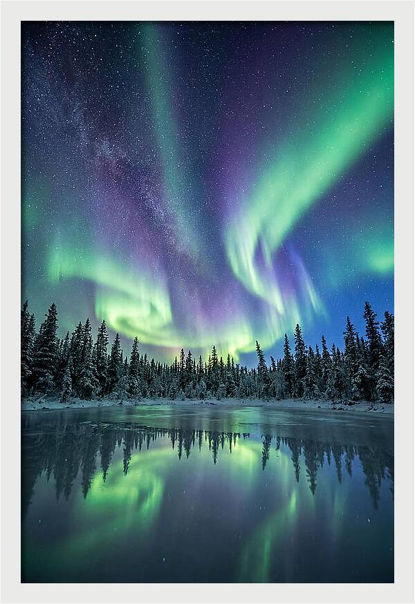 Aurora Borealis Over Alaskan Taiga