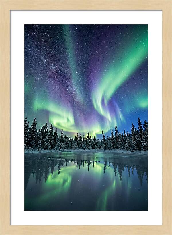 Aurora Borealis Over Alaskan Taiga