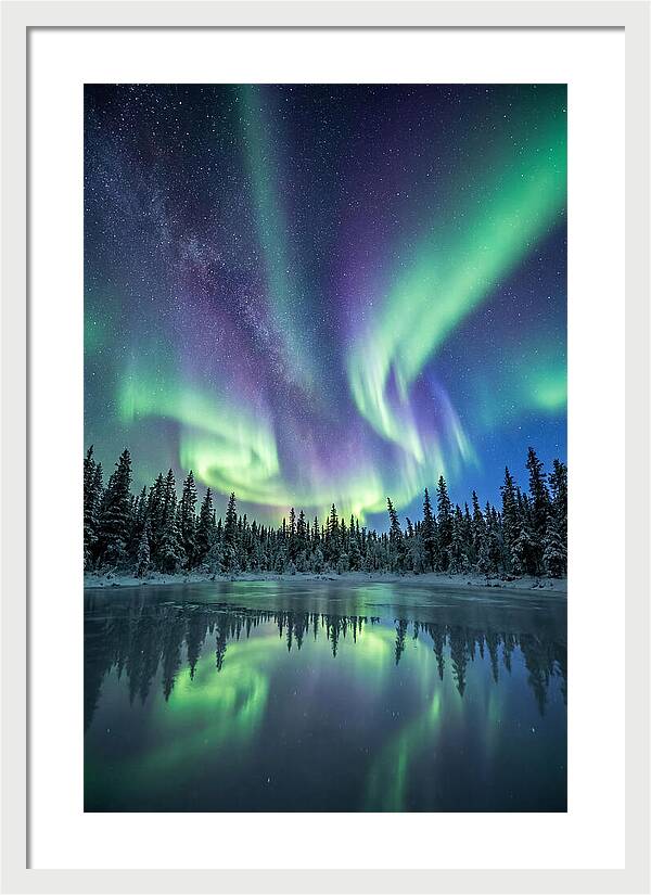 Aurora Borealis Over Alaskan Taiga