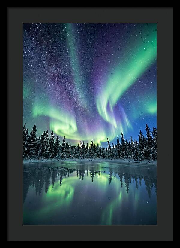 Aurora Borealis Over Alaskan Taiga