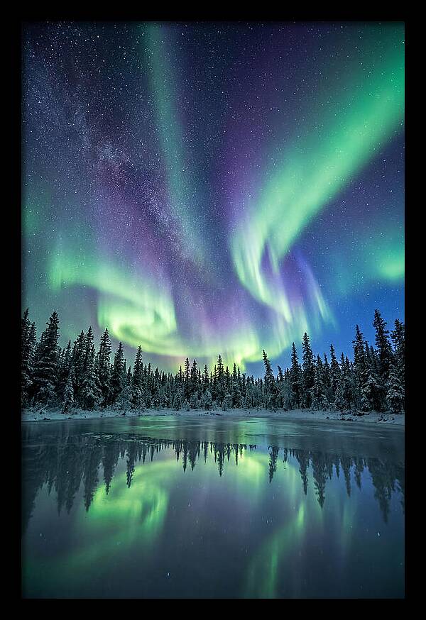 Aurora Borealis Over Alaskan Taiga