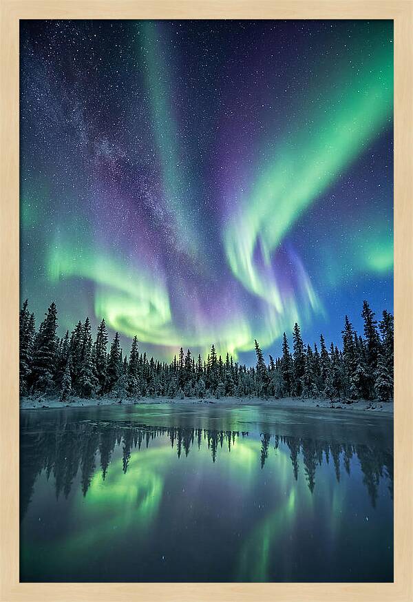 Aurora Borealis Over Alaskan Taiga