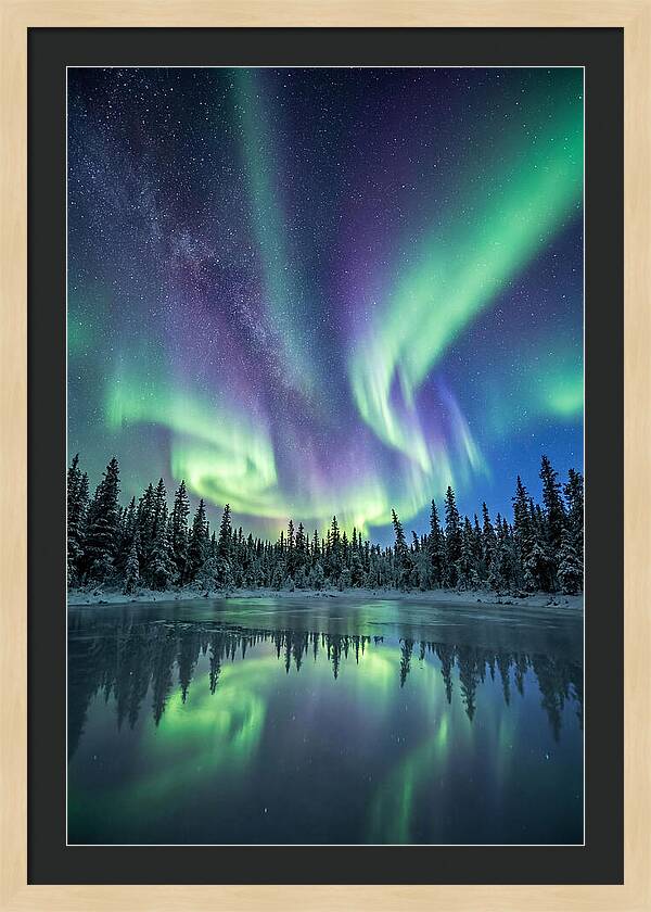 Aurora Borealis Over Alaskan Taiga