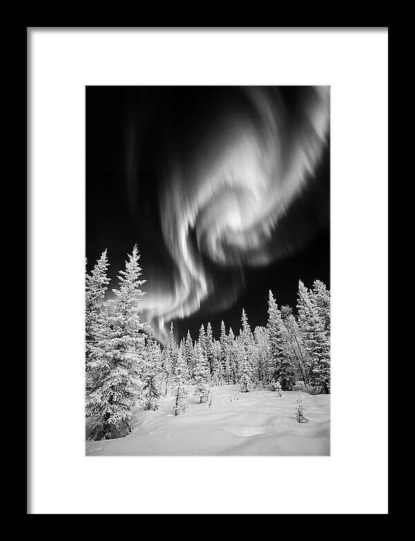 Aurora Borealis Over Alaskan Taiga