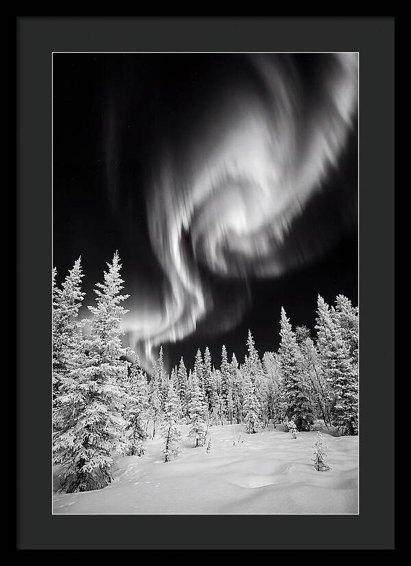 Aurora Borealis Over Alaskan Taiga