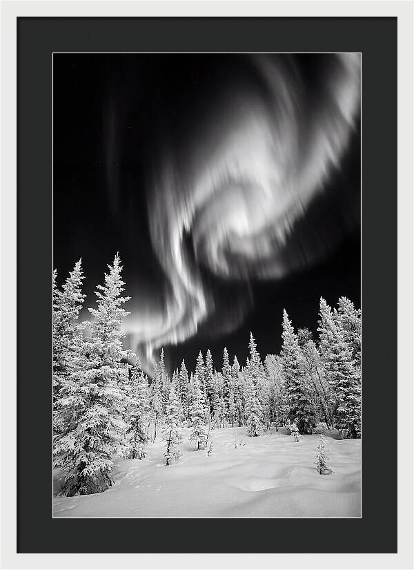 Aurora Borealis Over Alaskan Taiga