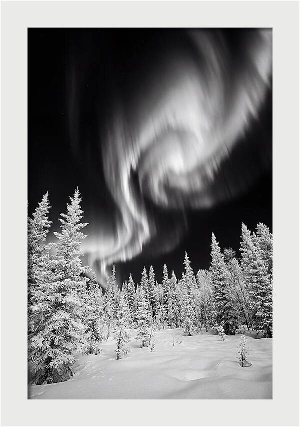 Aurora Borealis Over Alaskan Taiga