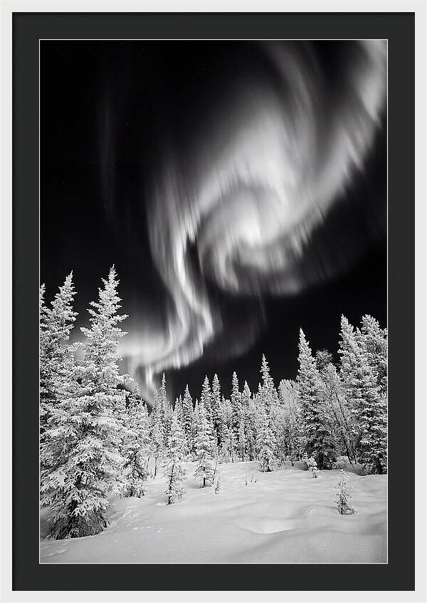 Aurora Borealis Over Alaskan Taiga