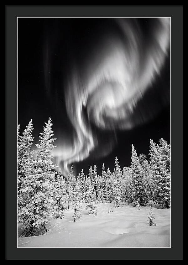 Aurora Borealis Over Alaskan Taiga
