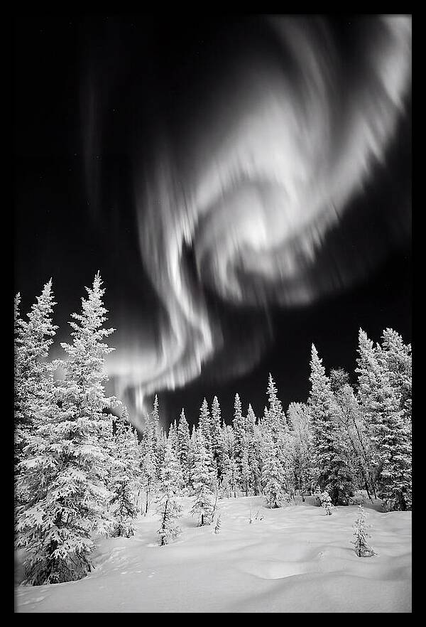Aurora Borealis Over Alaskan Taiga