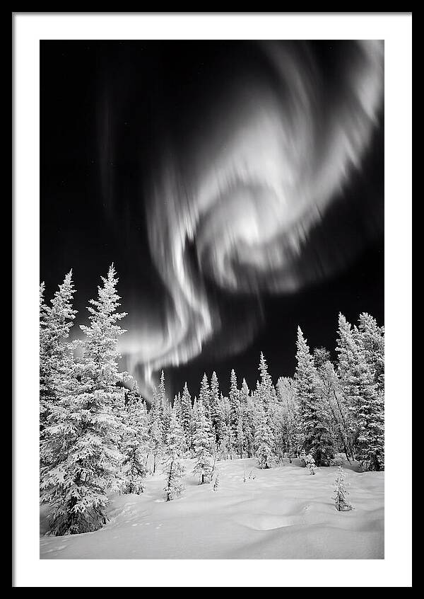 Aurora Borealis Over Alaskan Taiga