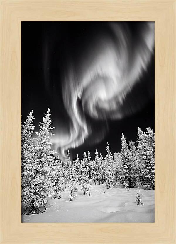 Aurora Borealis Over Alaskan Taiga