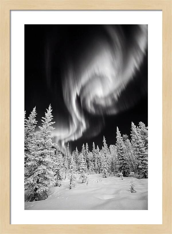 Aurora Borealis Over Alaskan Taiga