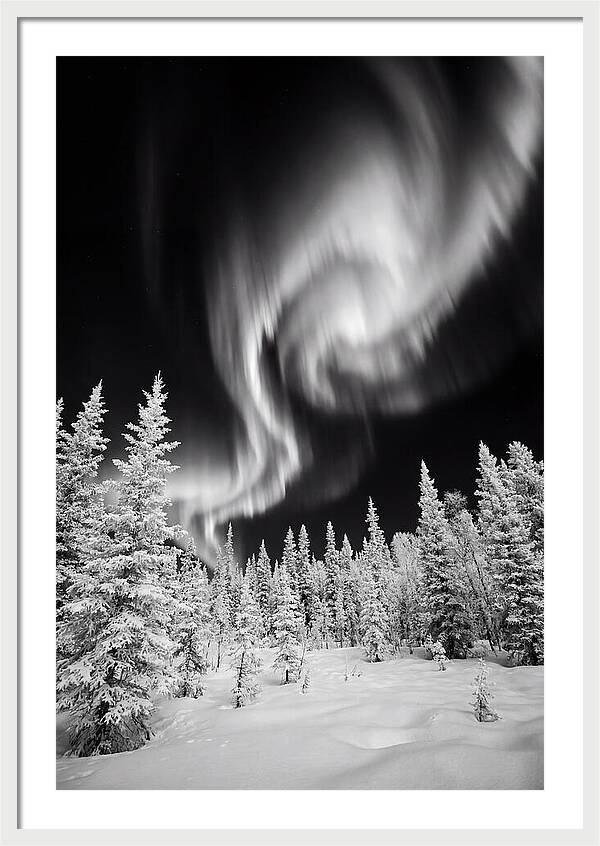 Aurora Borealis Over Alaskan Taiga