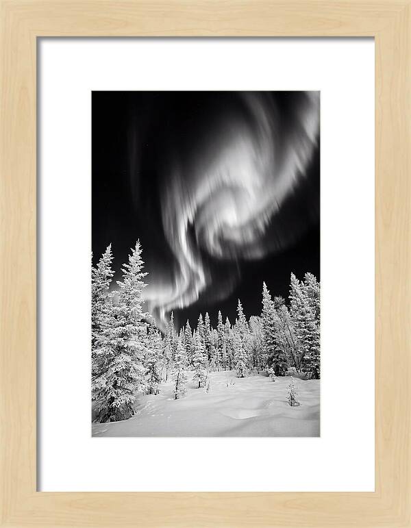 Aurora Borealis Over Alaskan Taiga
