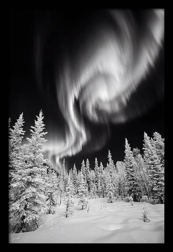 Aurora Borealis Over Alaskan Taiga
