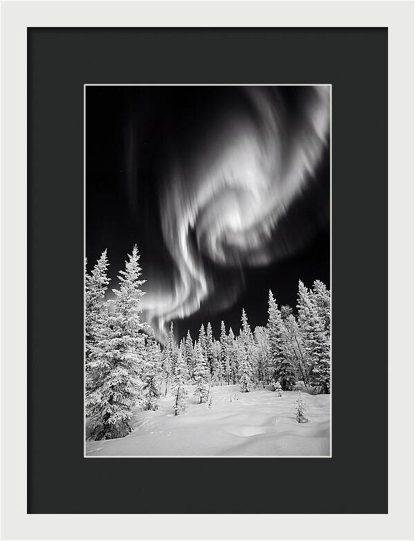 Aurora Borealis Over Alaskan Taiga