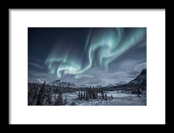 Aurora Borealis Over Taiga