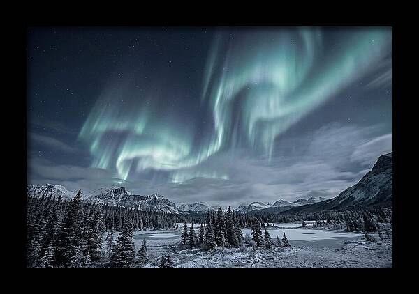 Aurora Borealis Over Taiga