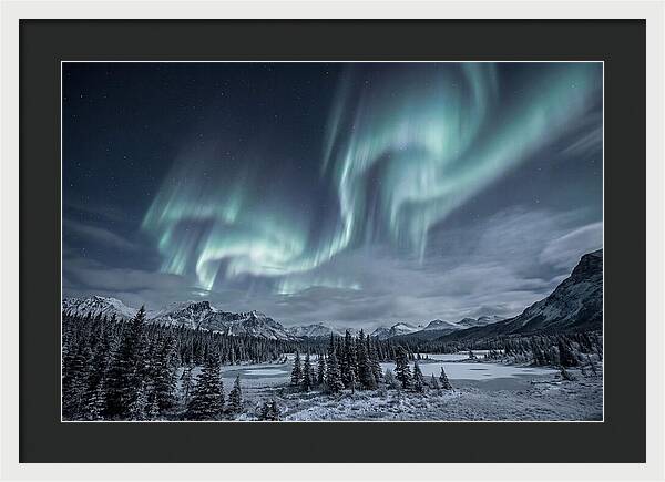 Aurora Borealis Over Taiga