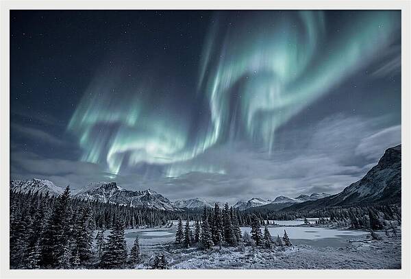 Aurora Borealis Over Taiga