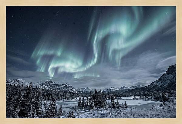 Aurora Borealis Over Taiga