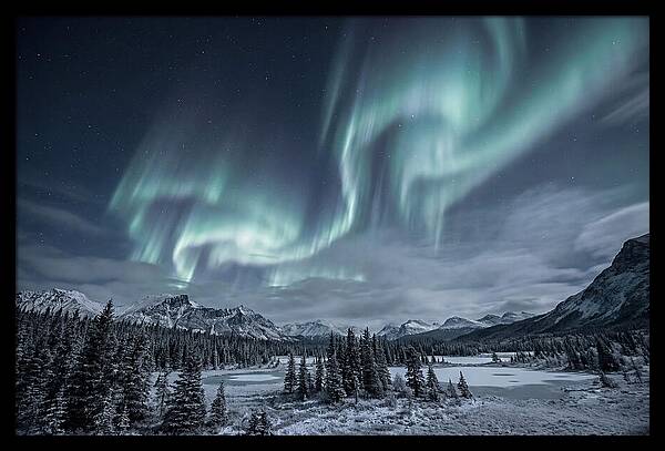 Aurora Borealis Over Taiga