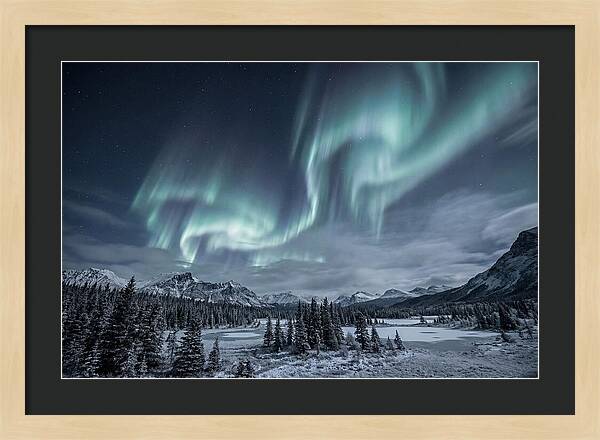 Aurora Borealis Over Taiga