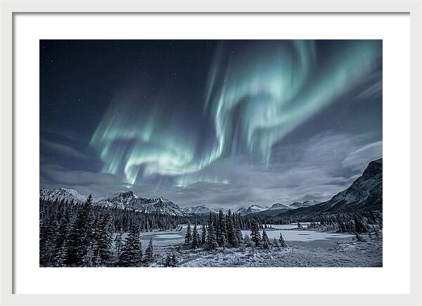 Aurora Borealis Over Taiga