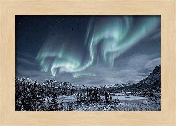 Aurora Borealis Over Taiga