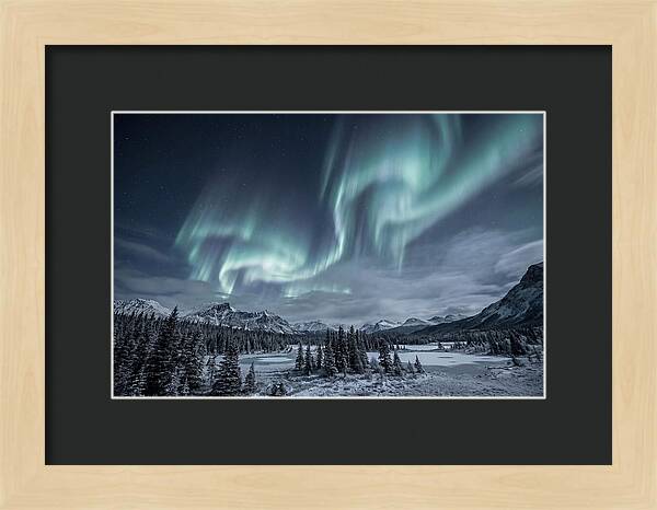 Aurora Borealis Over Taiga