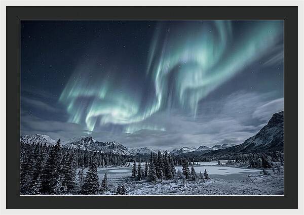 Aurora Borealis Over Taiga