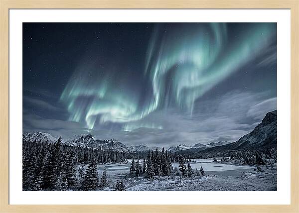 Aurora Borealis Over Taiga