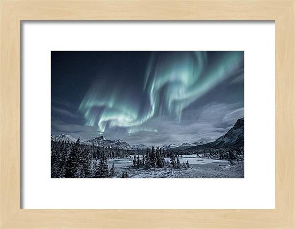 Aurora Borealis Over Taiga
