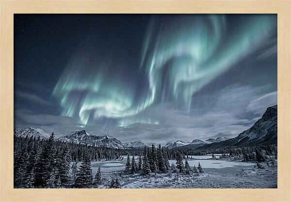 Aurora Borealis Over Taiga