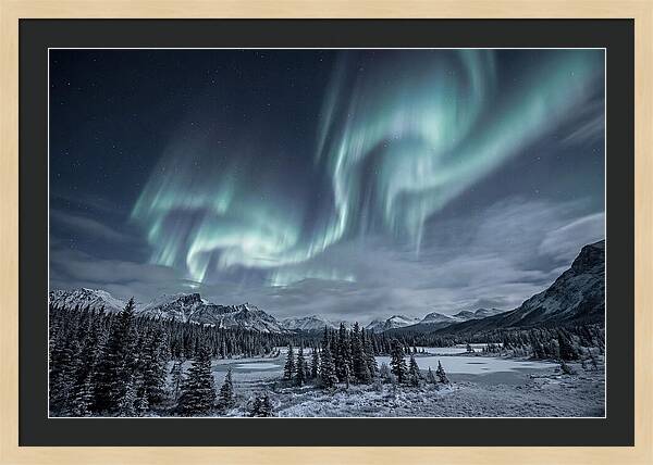Aurora Borealis Over Taiga