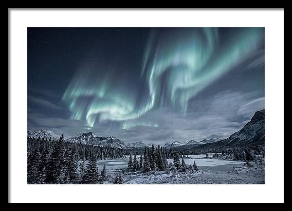 Aurora Borealis Over Taiga