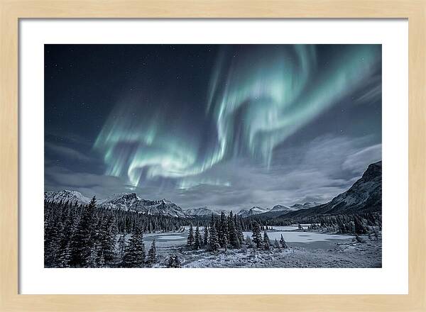 Aurora Borealis Over Taiga