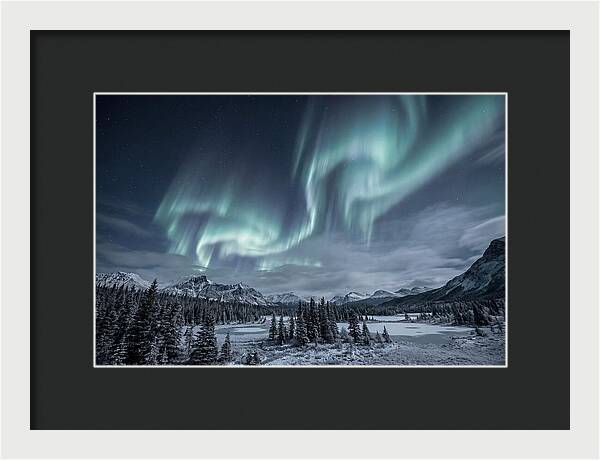 Aurora Borealis Over Taiga