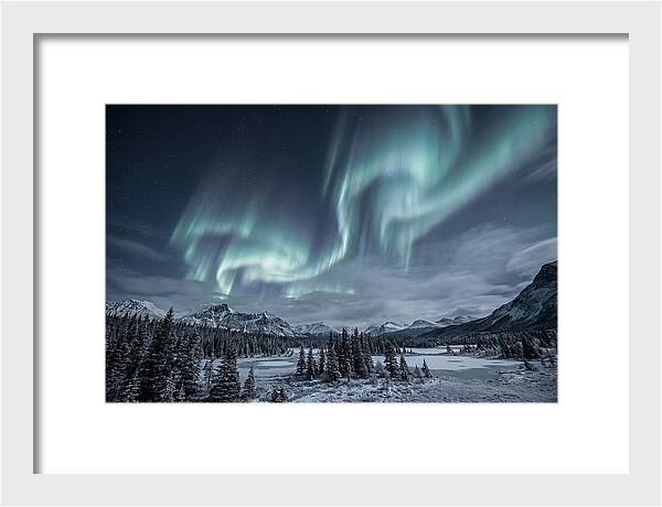 Aurora Borealis Over Taiga