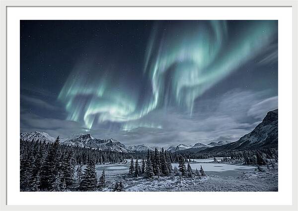 Aurora Borealis Over Taiga