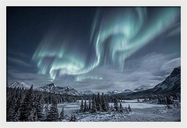 Aurora Borealis Over Taiga