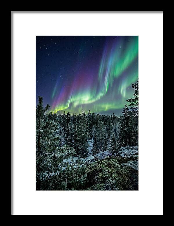 Aurora Over Finnish Forest