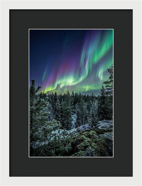 Aurora Over Finnish Forest