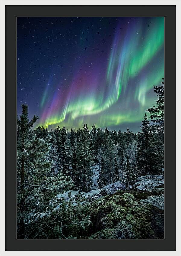 Aurora Over Finnish Forest