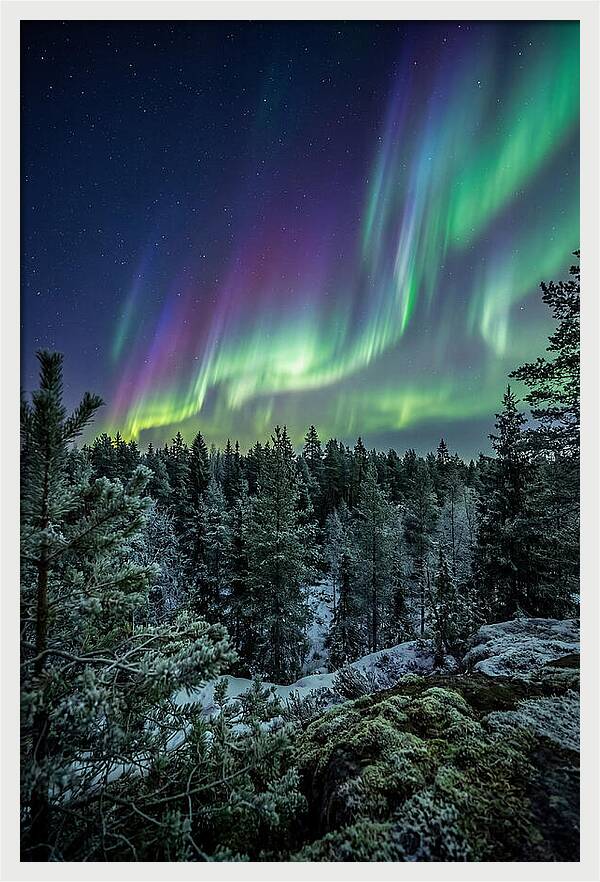 Aurora Over Finnish Forest