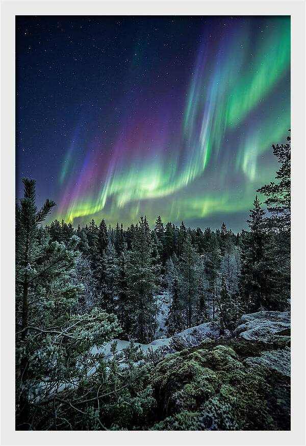 Aurora Over Finnish Forest